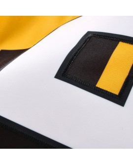 Joey Porter Jr. Pittsburgh Steelers Nike Alternate 1933 Throwback Vapor F.U.S.E. Limitiertes Trikot – Gold