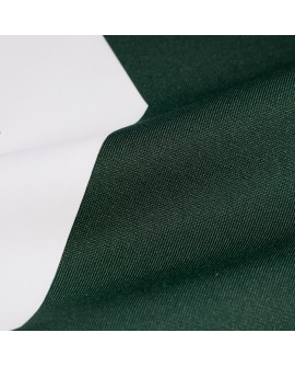 Micah Parsons Green Bay Packers Nike Spiele-Trikot – Grün